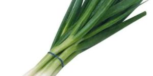 Scallions