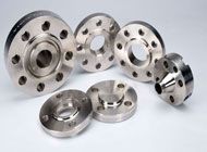 Hastelloy Flanges