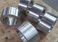 Titanium Forged Fittings