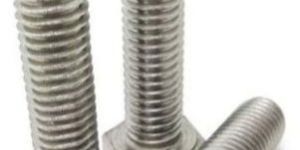 Stainless Steel Hex Bolt