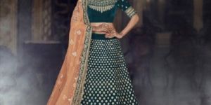 Net Lehenga Choli