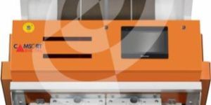 Dehydrated Onion Sorting Machine