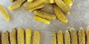 Pickled Gherkins.