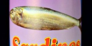 Canned Sardine