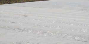Soil Solarisation Film