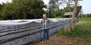 Agricultural Ground Crop Covers