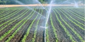 Sprinkler Irrigation System