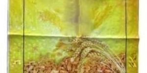 Pesticide Packaging Bag