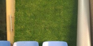 Artificial Grass