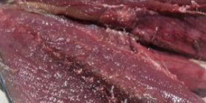 Frozen Skipjack Tuna Fish