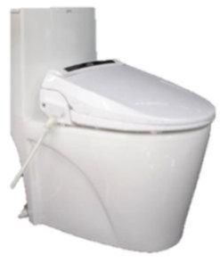 Smart Toilet