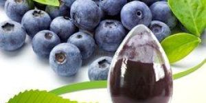 Bilberry Extract