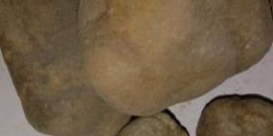 Water Filtration Pebbles