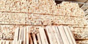 Pine Wood