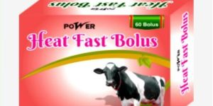 Power Heat Fast Bolus