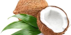 Fresh Coconut
