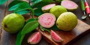 Fresh Guava