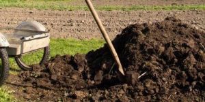 Organic Compost Fertilizer