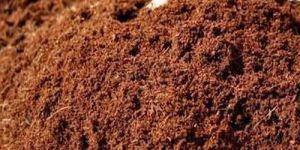 Organic Vermicompost