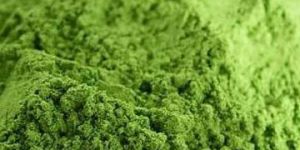 Alfalfa Leaves Powder