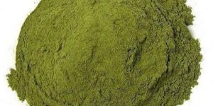 Broccoli Extract