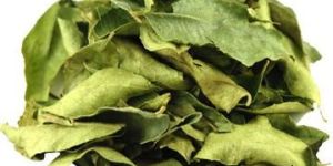 Dried Curry Leaves