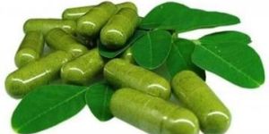 Moringa Capsules