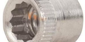 Allen Nuts