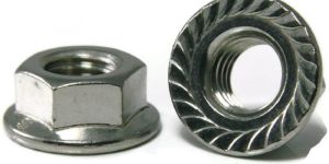 Serrated Flange Nuts
