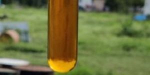 Washed Cotton Seed Oil