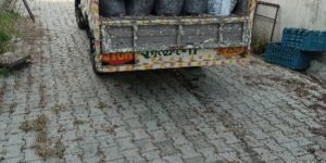 Button Mushroom Casing Soil