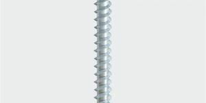 Drywall Screw