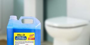 Toilet Cleaner