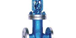 Bellow Sealed Gate Valves Content