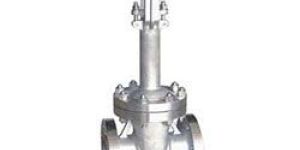 Cryogenic Gate Valves Content