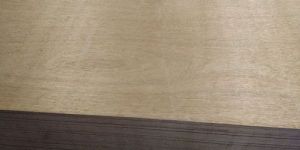 Commercial Plywood