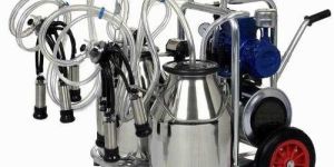 Trolley Milking Machine