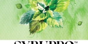 Mojito Mocktail Syrup