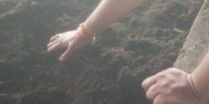 Natural Vermicompost