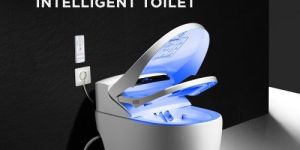 Smart Toilet