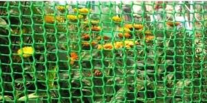 Garden Fencing Net