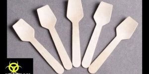 Disposable Wooden Spoon