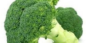 Broccoli Extract