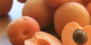 Fresh Apricot