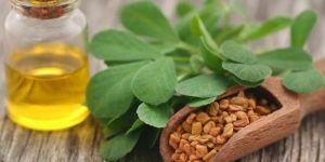 Fenugreek Seed Oil