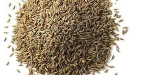 Cumin Seeds
