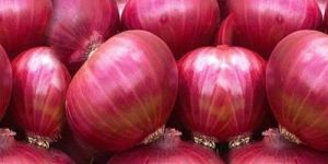 Red Onion