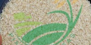 1121 Steam Sella Basmati Rice