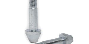 Bonnet Bolt