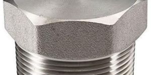 Stainless Steel Pipe Plug